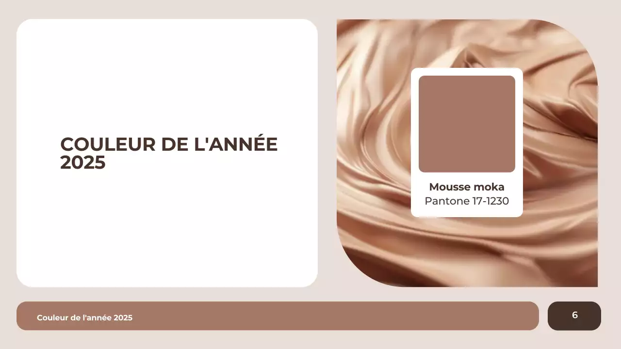 rapport de couleur moderne marron