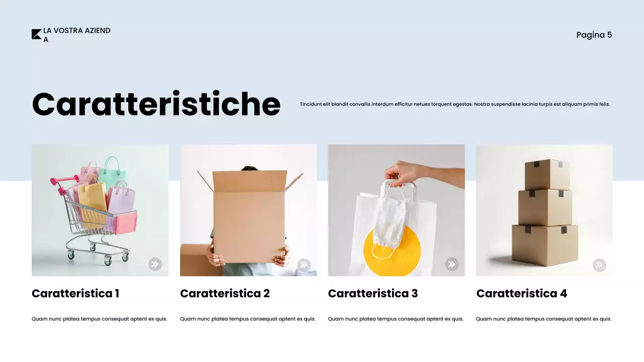 Documento catalogo prodotti grigio e minimalista