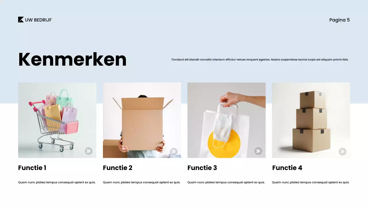 Grijs minimalistisch productcatalogusdocument