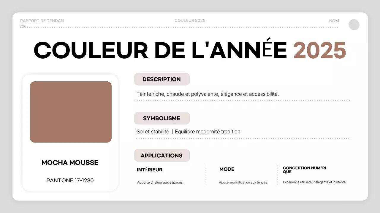 rapport sur les couleurs marron modernes