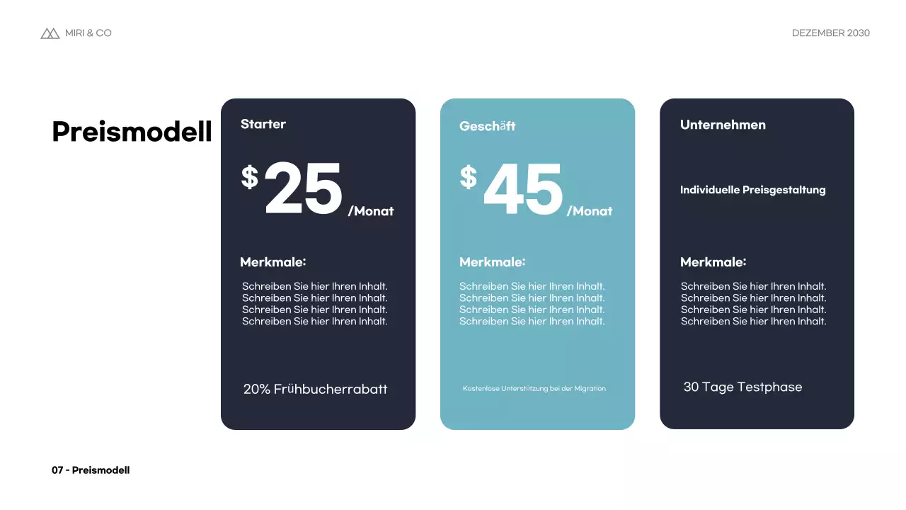 Blue Modern Business Plan