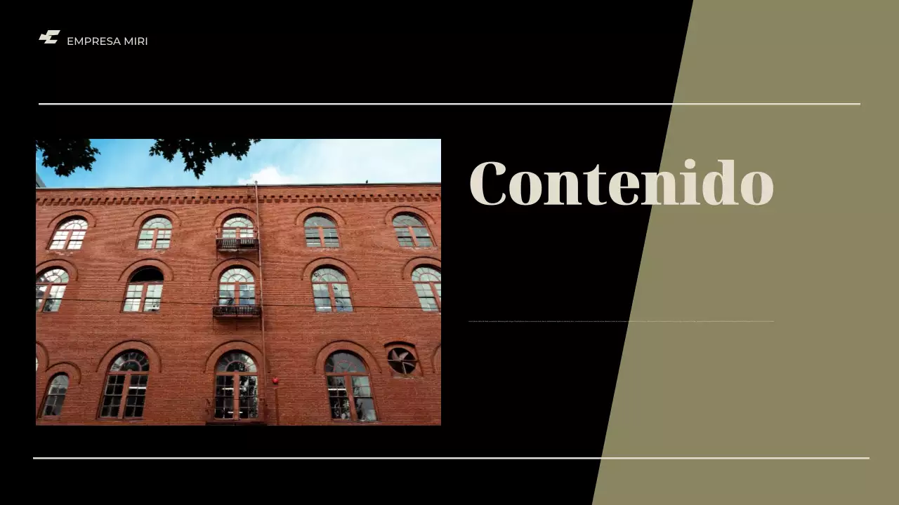 informe sobre la empresa moderna negra