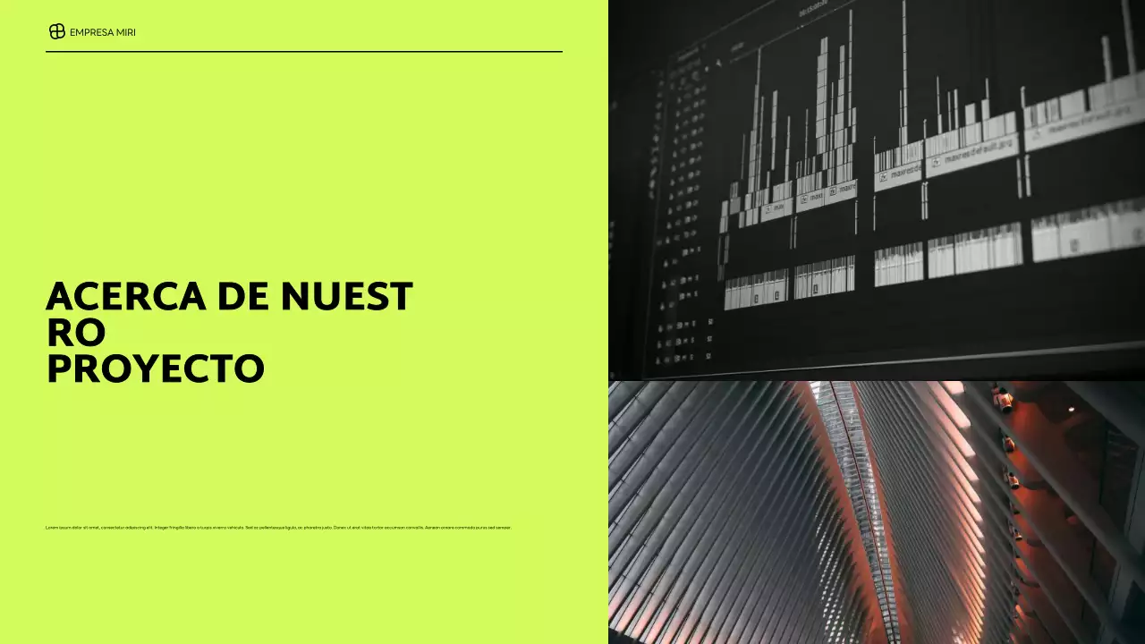 informe sobre la empresa moderna negra