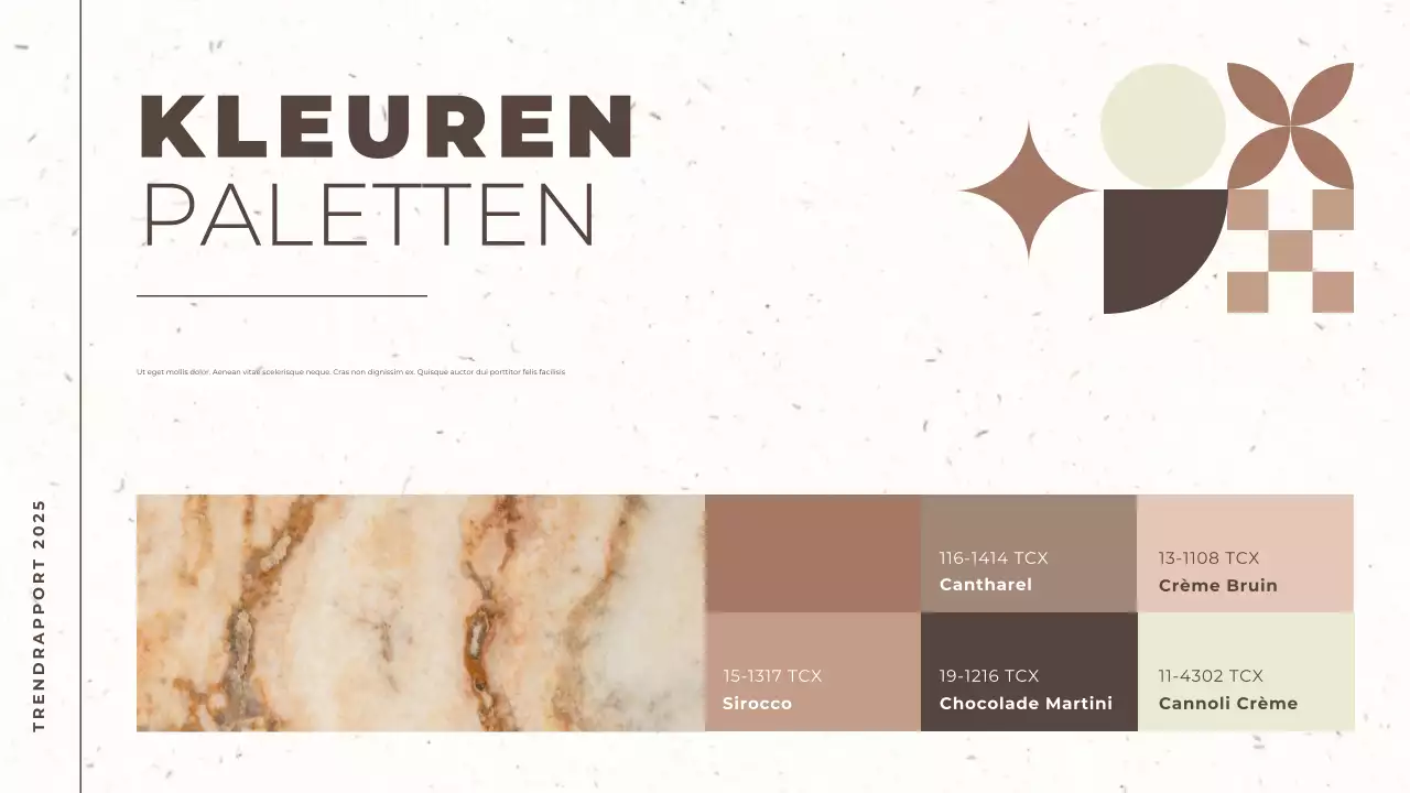 bruin en beige modern trendrapport kleur van het jaar documentpresentatie