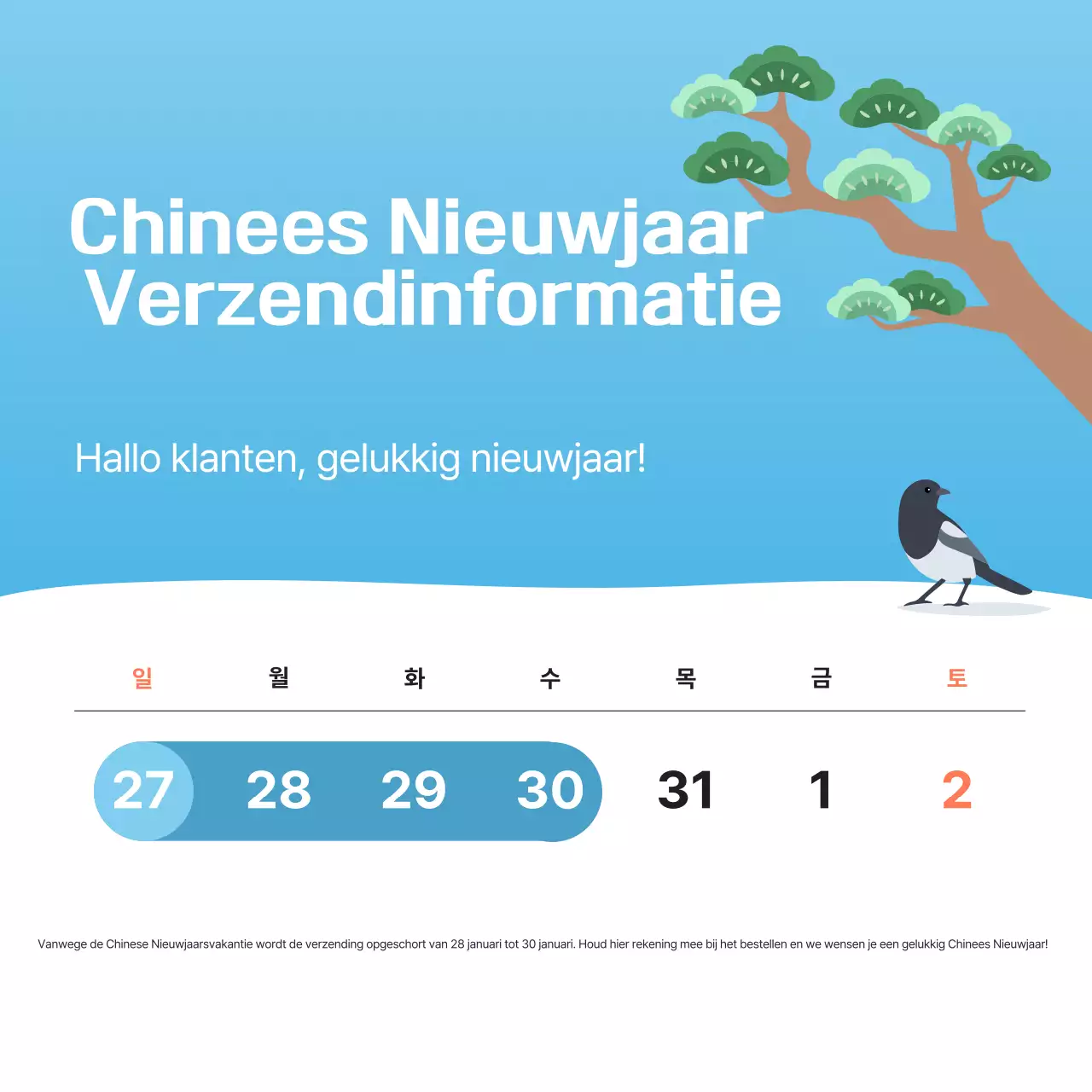 Lichtblauwe eenvoudige Chinese nieuwjaarsaankondiging