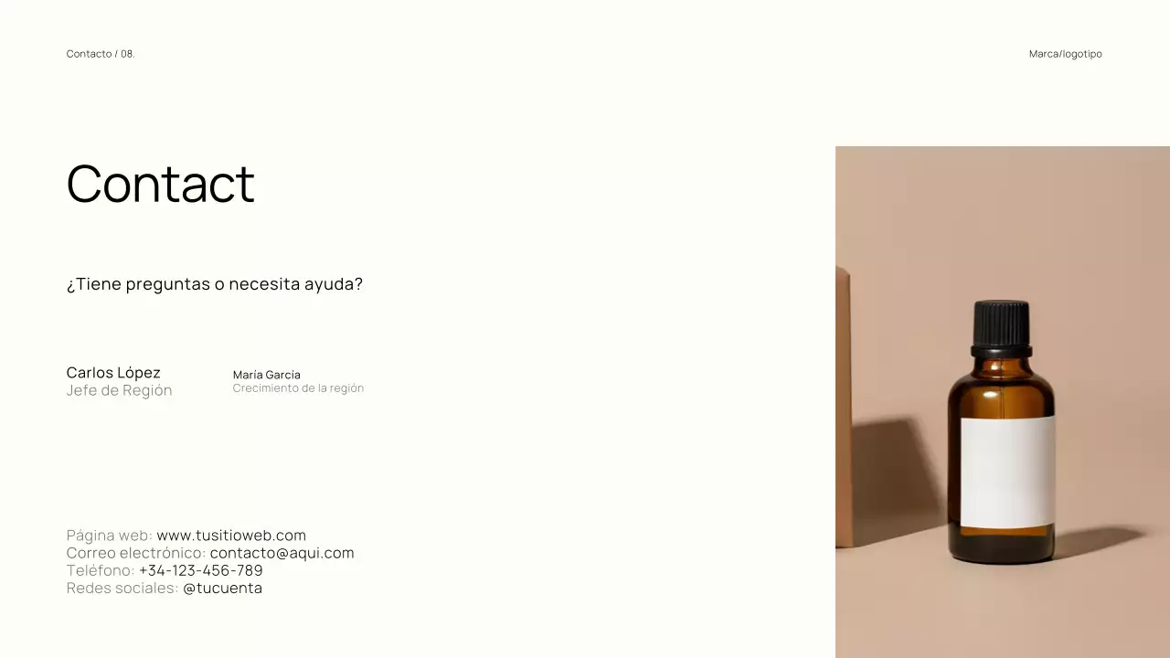 Catálogo de marcas minimalistas y modernas