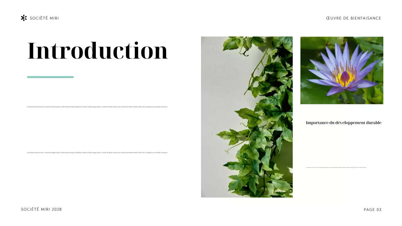 Présentation de l'organisation à but non lucratif Navy Tropical