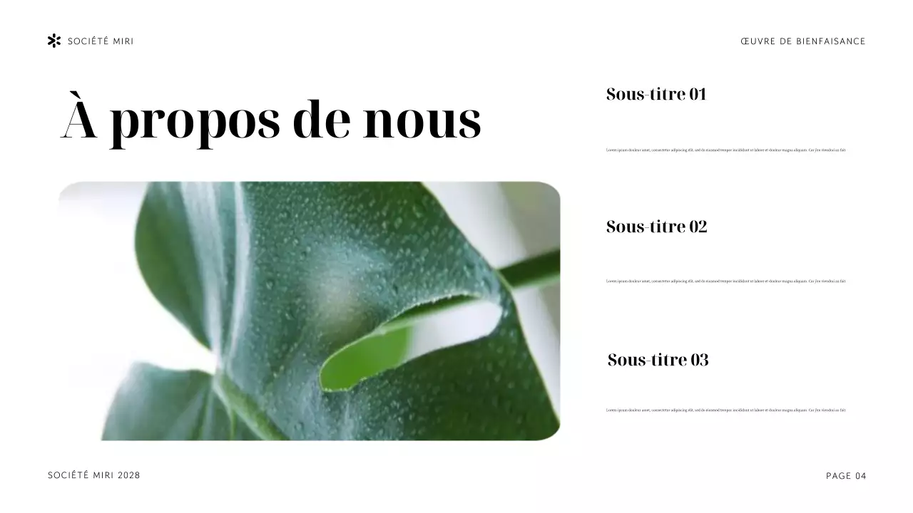 Présentation de l'organisation à but non lucratif Navy Tropical