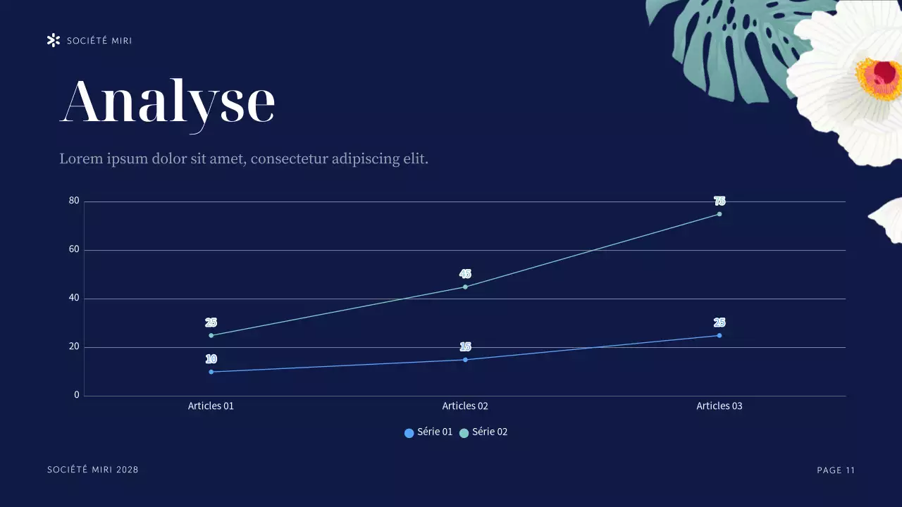 Présentation de l'organisation à but non lucratif Navy Tropical