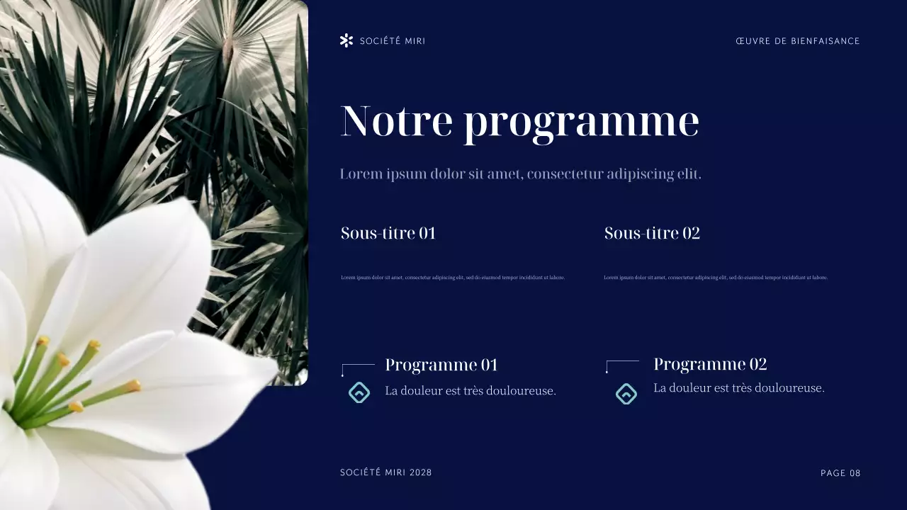 Présentation de l'organisation à but non lucratif Navy Tropical