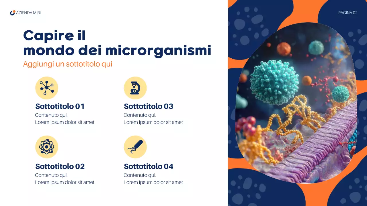 rapporto sanitario astratto della marina militare