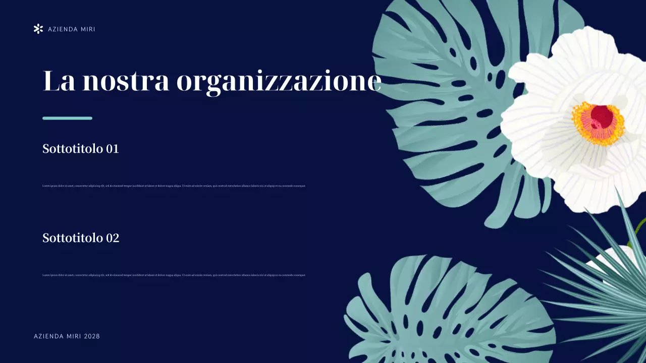 Presentazione dell'organizzazione non profit Navy Tropical