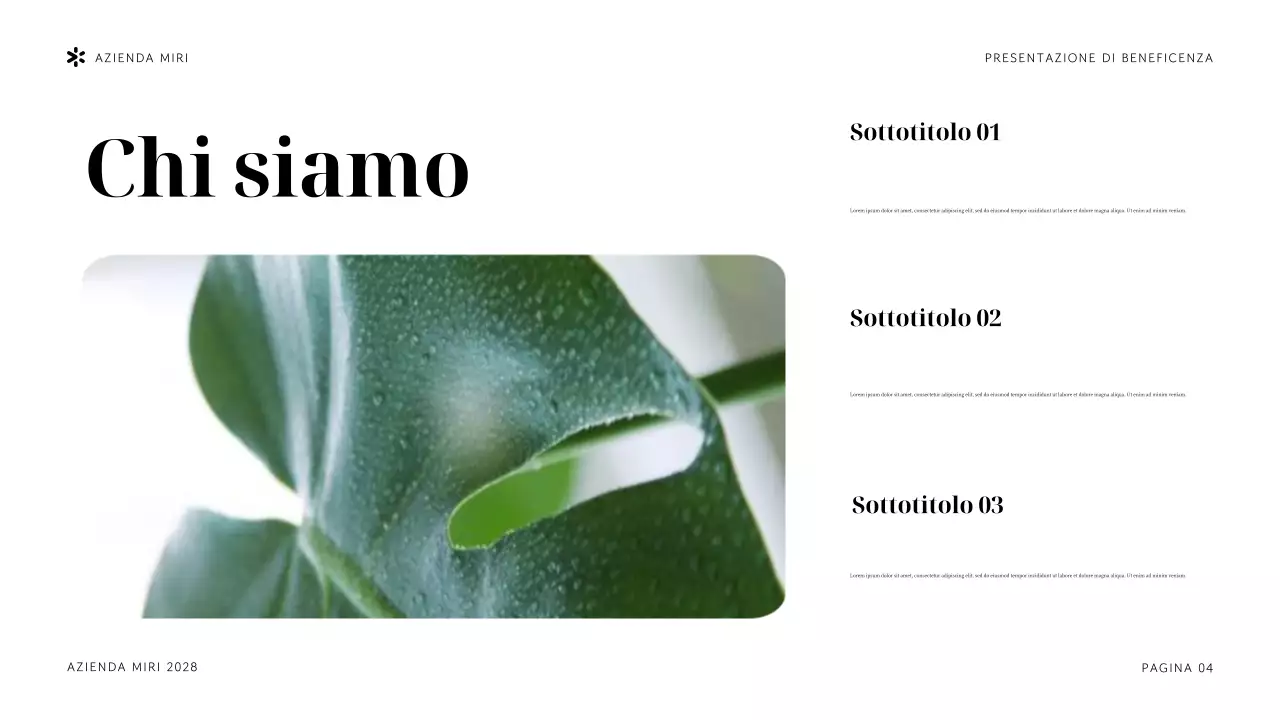 Presentazione dell'organizzazione non profit Navy Tropical