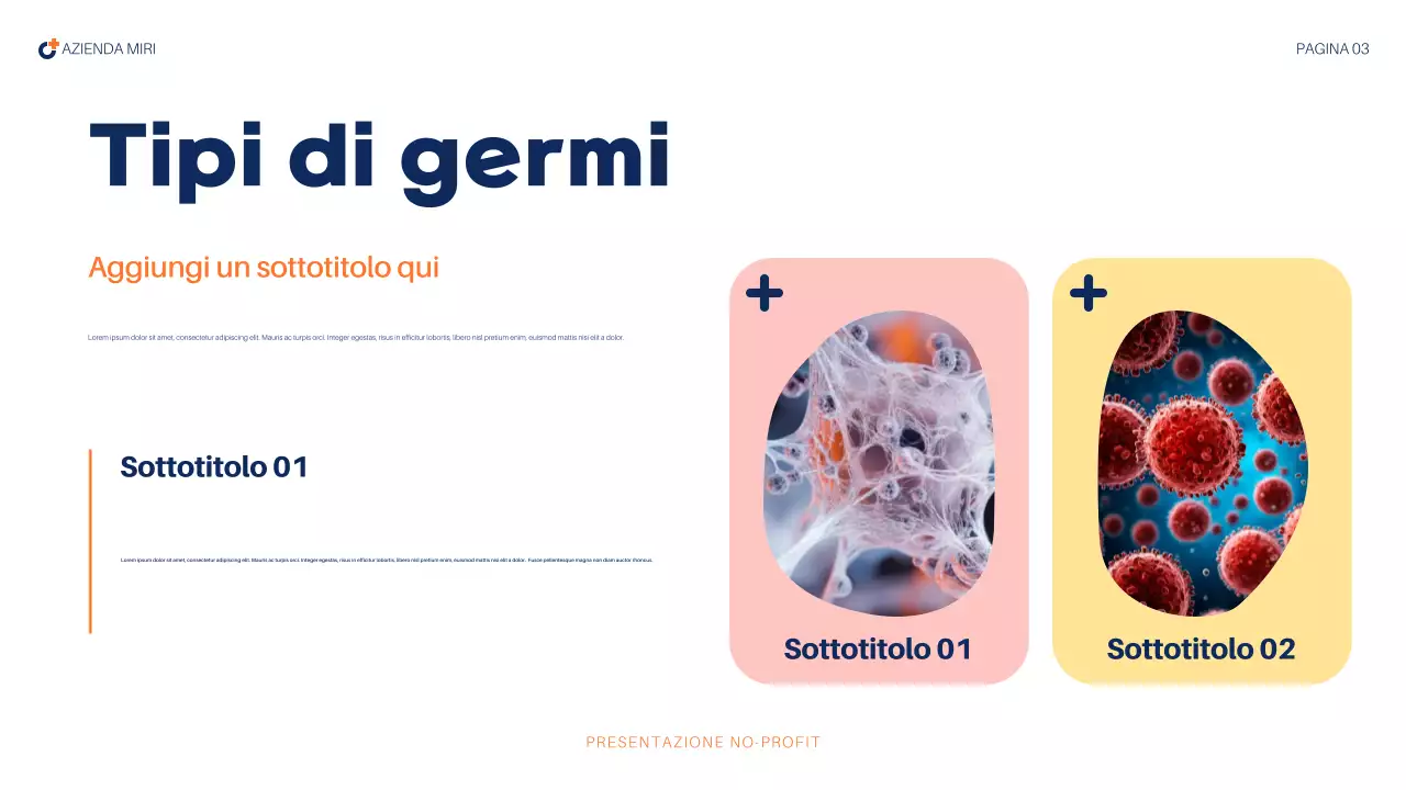 rapporto sanitario astratto della marina militare