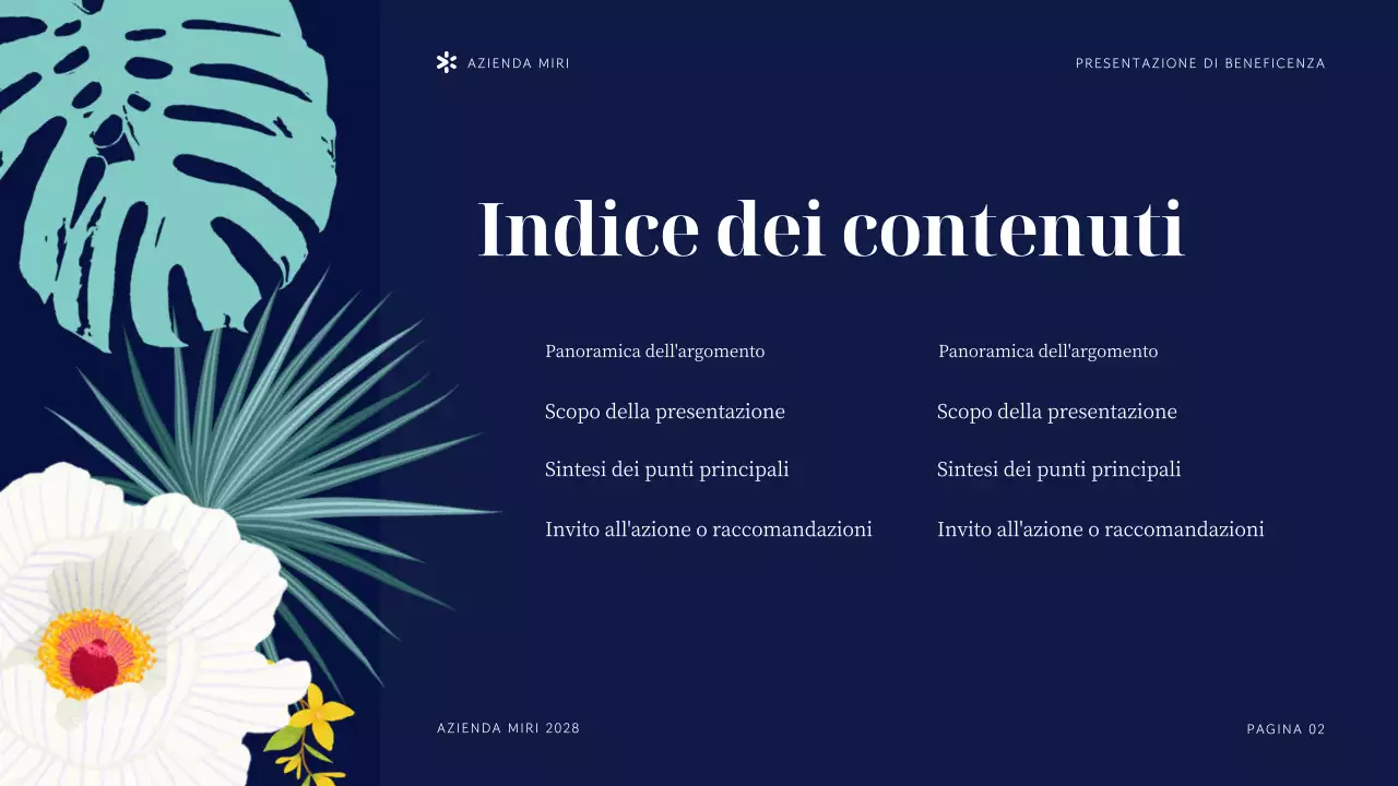 Presentazione dell'organizzazione non profit Navy Tropical