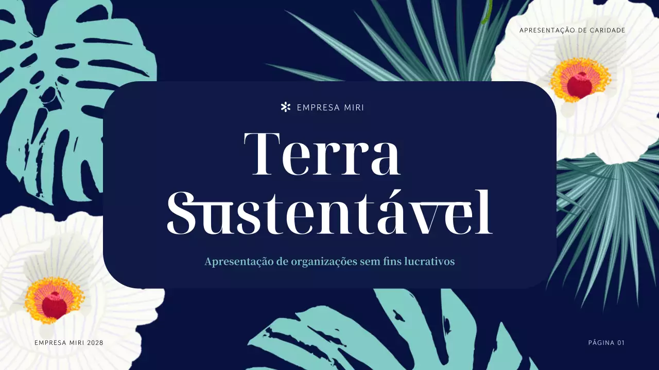 Apresentação da organização sem fins lucrativos Navy Tropical