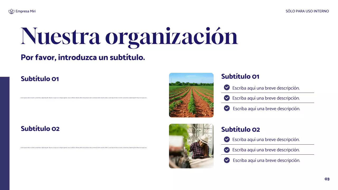 informe de sostenibilidad de blue floral