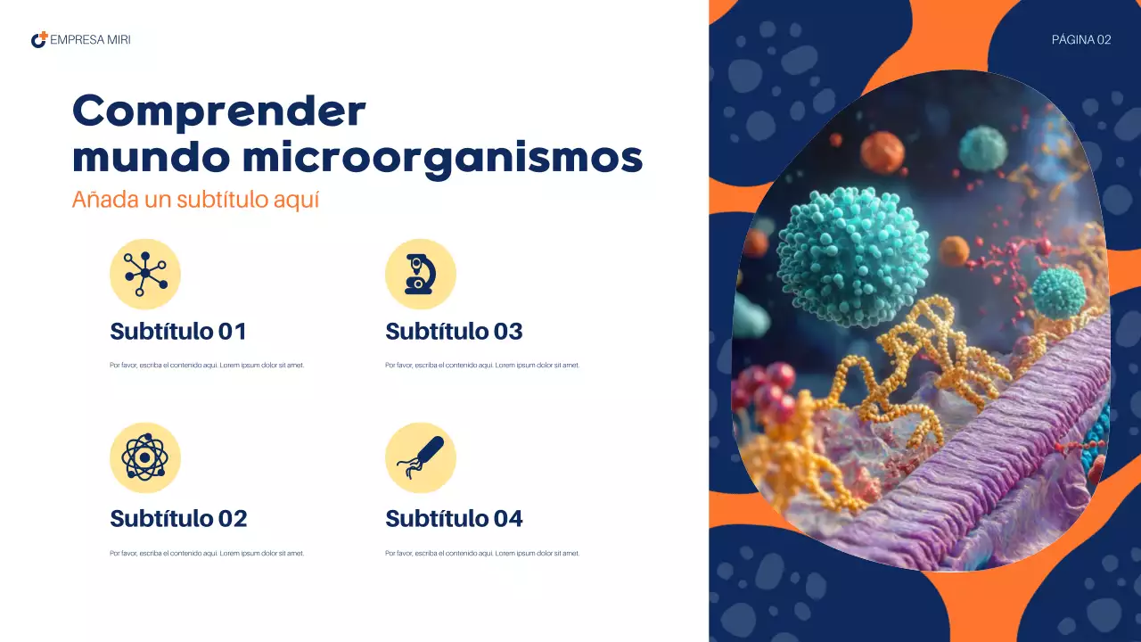 informe sanitario abstracto de la armada