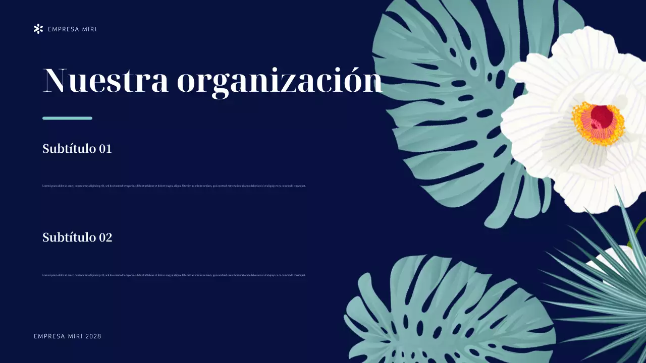 Presentación de la organización sin ánimo de lucro Navy Tropical