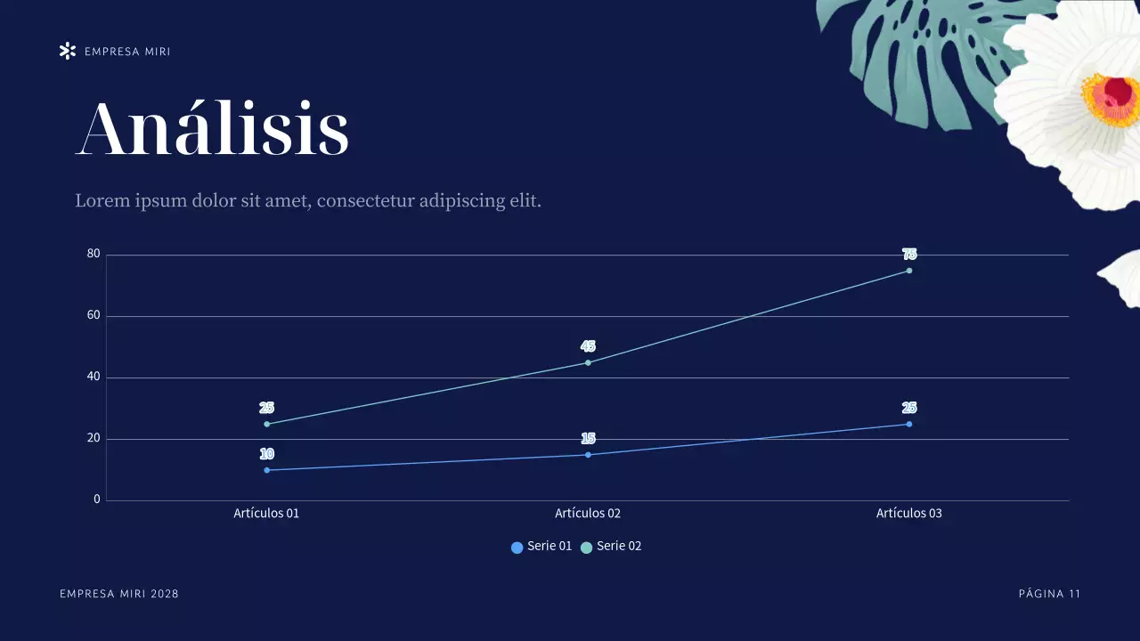 Presentación de la organización sin ánimo de lucro Navy Tropical