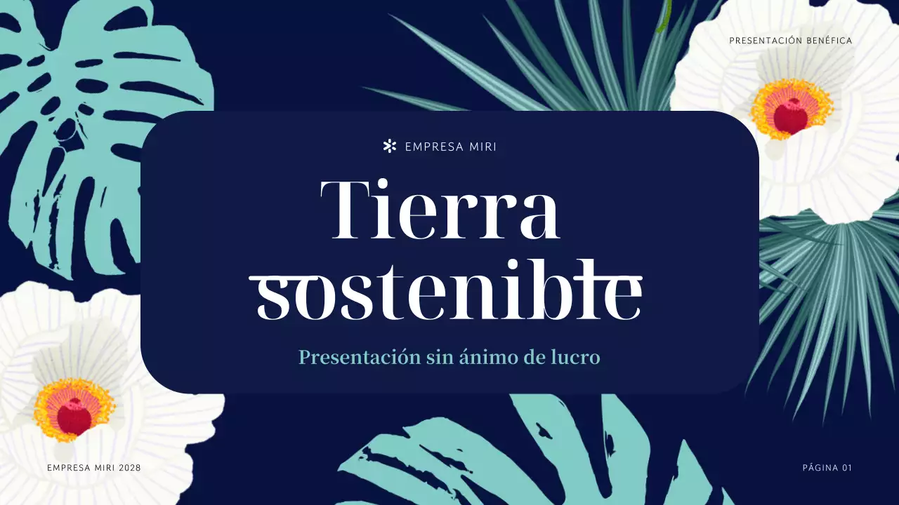 Presentación de la organización sin ánimo de lucro Navy Tropical