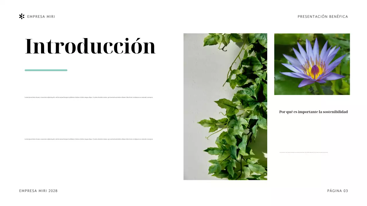 Presentación de la organización sin ánimo de lucro Navy Tropical