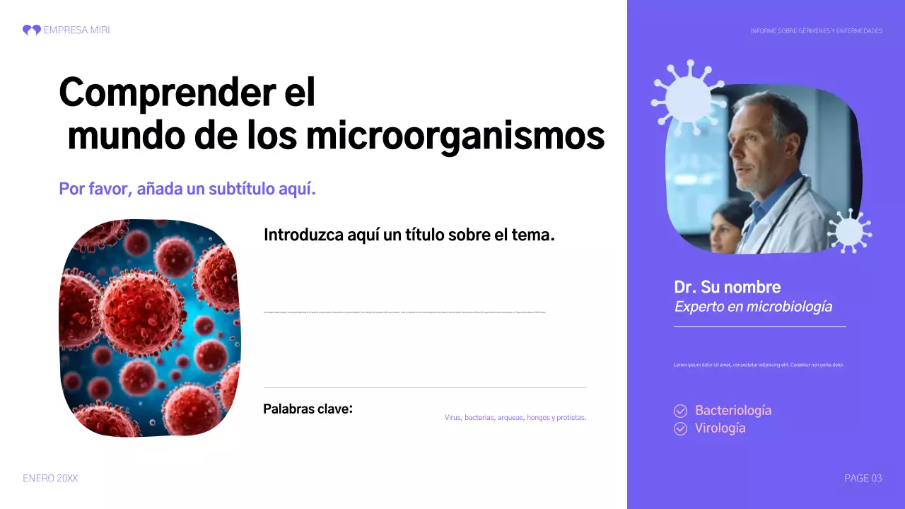 informe purple modern health