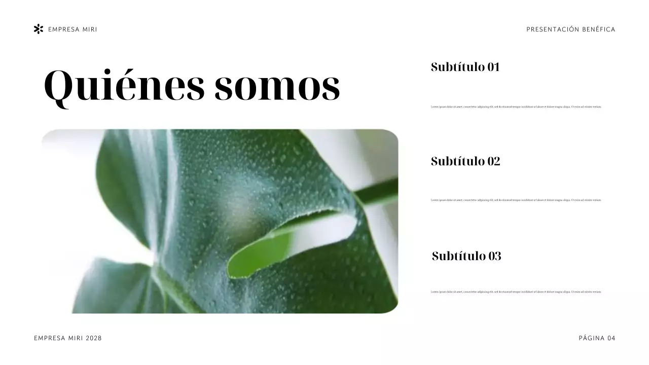 Presentación de la organización sin ánimo de lucro Navy Tropical