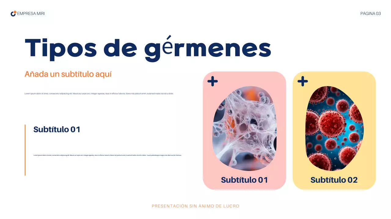 informe sanitario abstracto de la armada