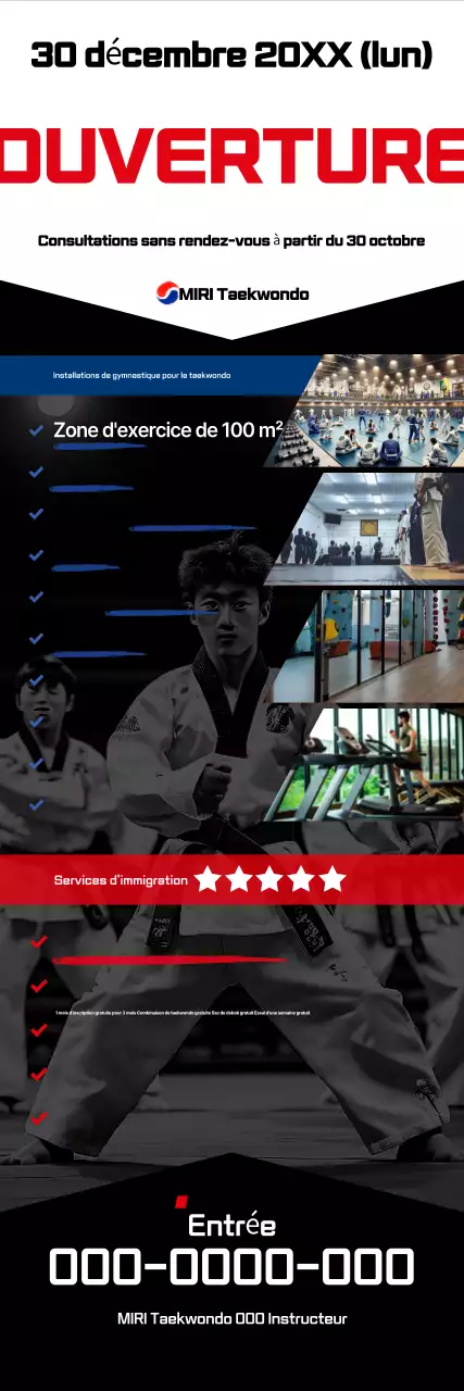 Ceinture noire Taekwondo moderne Open