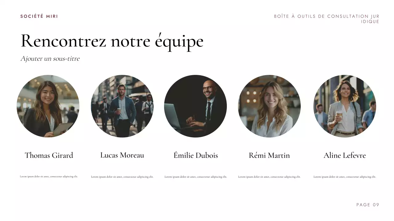 Présentation de la boîte à outils de conseil juridique de Maroon Professional