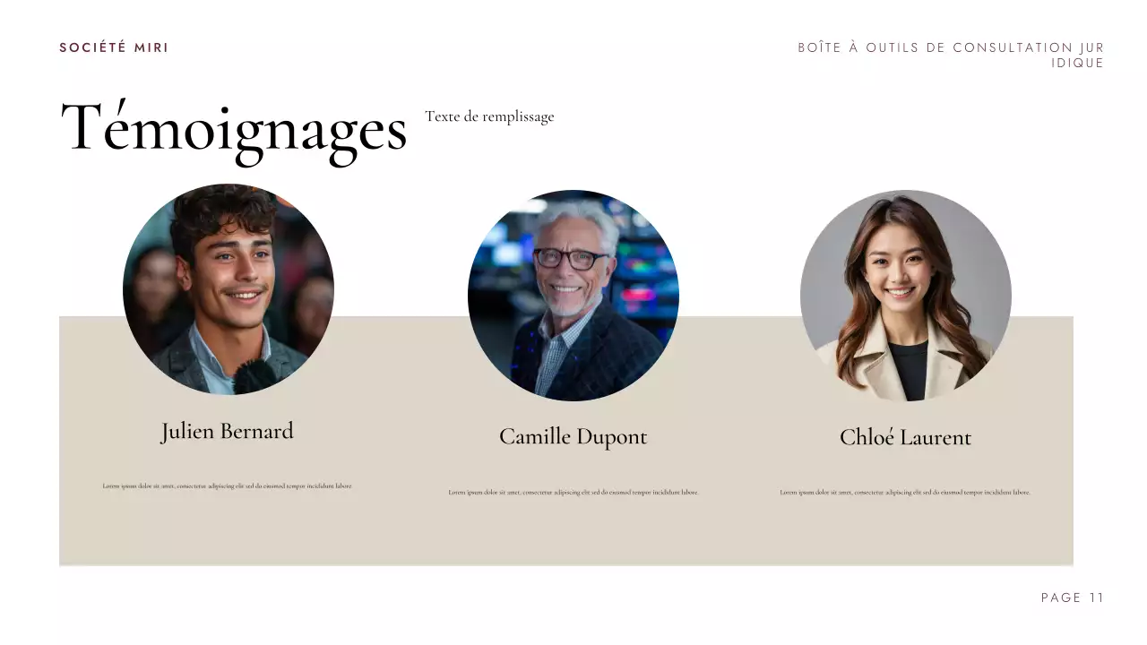 Présentation de la boîte à outils de conseil juridique de Maroon Professional