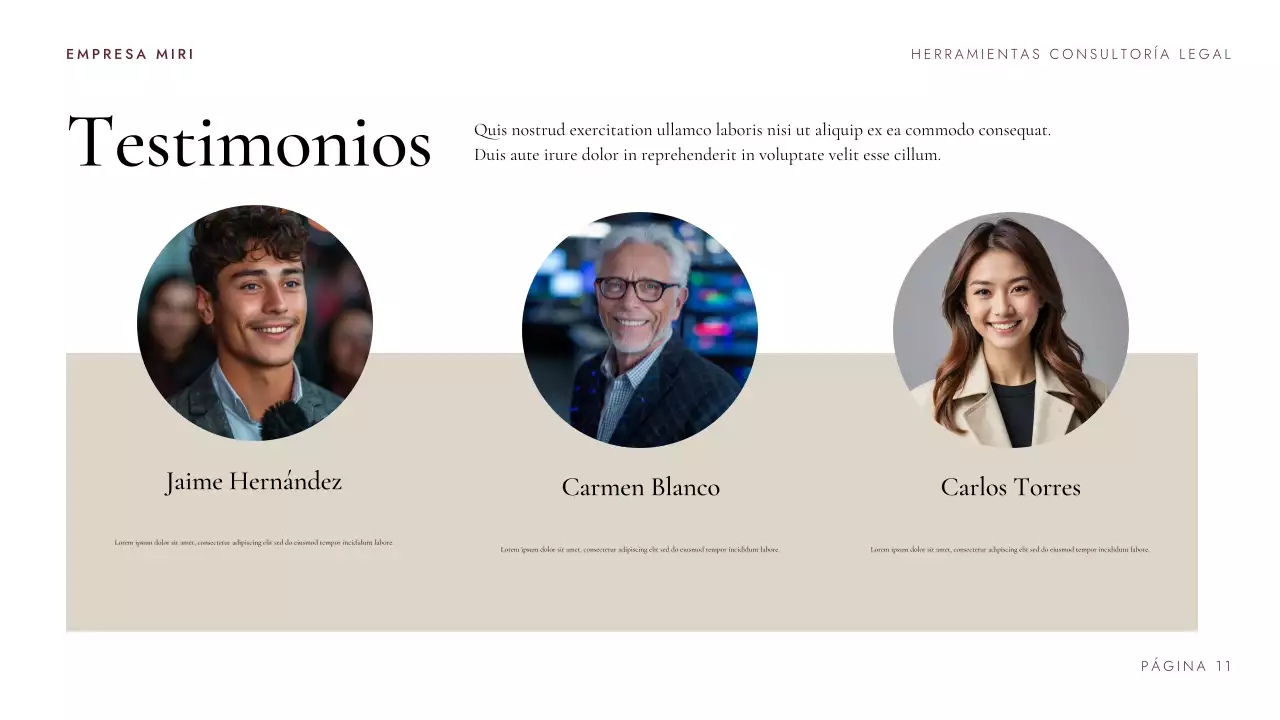 Maroon Professional Legal Consulting Toolkit Presentación