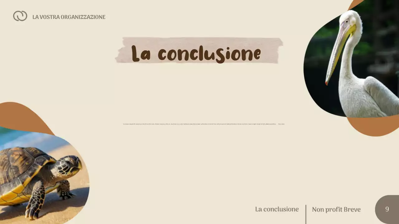 Presentazione della protezione della vita selvatica senza scopo di lucro