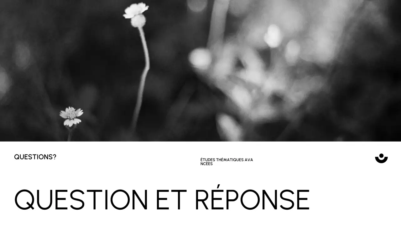 Introduction académique minimale noire document de classe