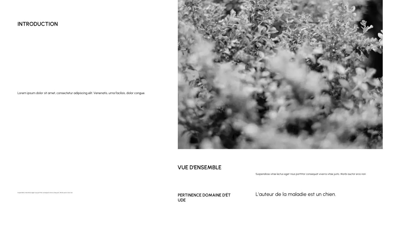 Introduction académique minimale noire document de classe