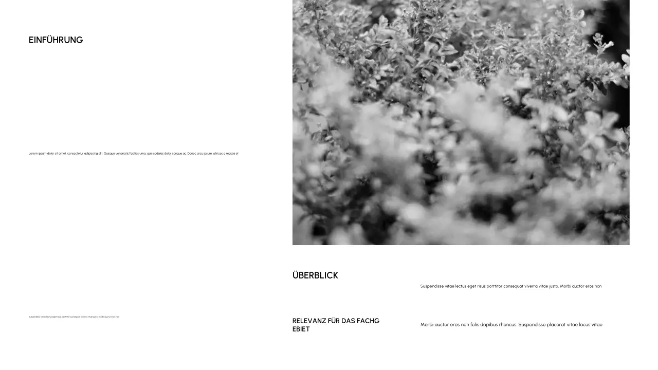 Schwarze minimale akademische Einführung Klasse Dokument