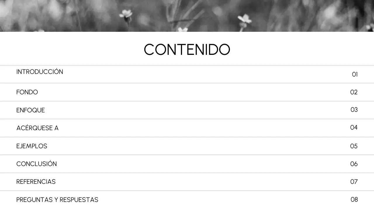 Negro mínimo académico introducción clase documento