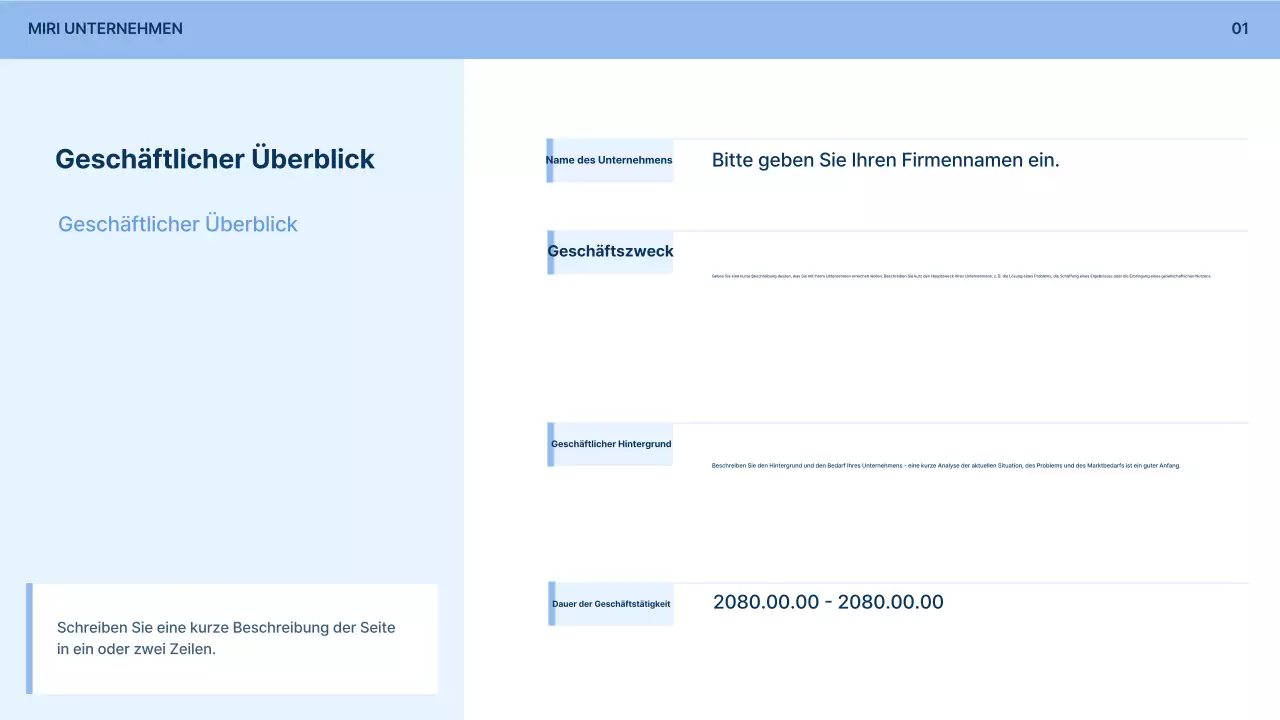Hellblaues einfaches Antragsformular für Unternehmensbeteiligungen Beschreibung