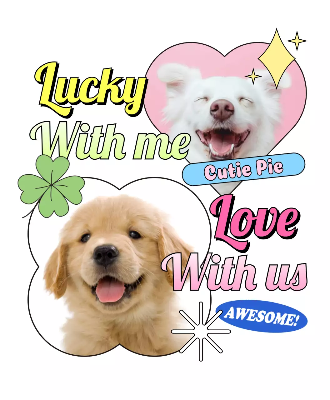 カラフル キュート ペット グッズ