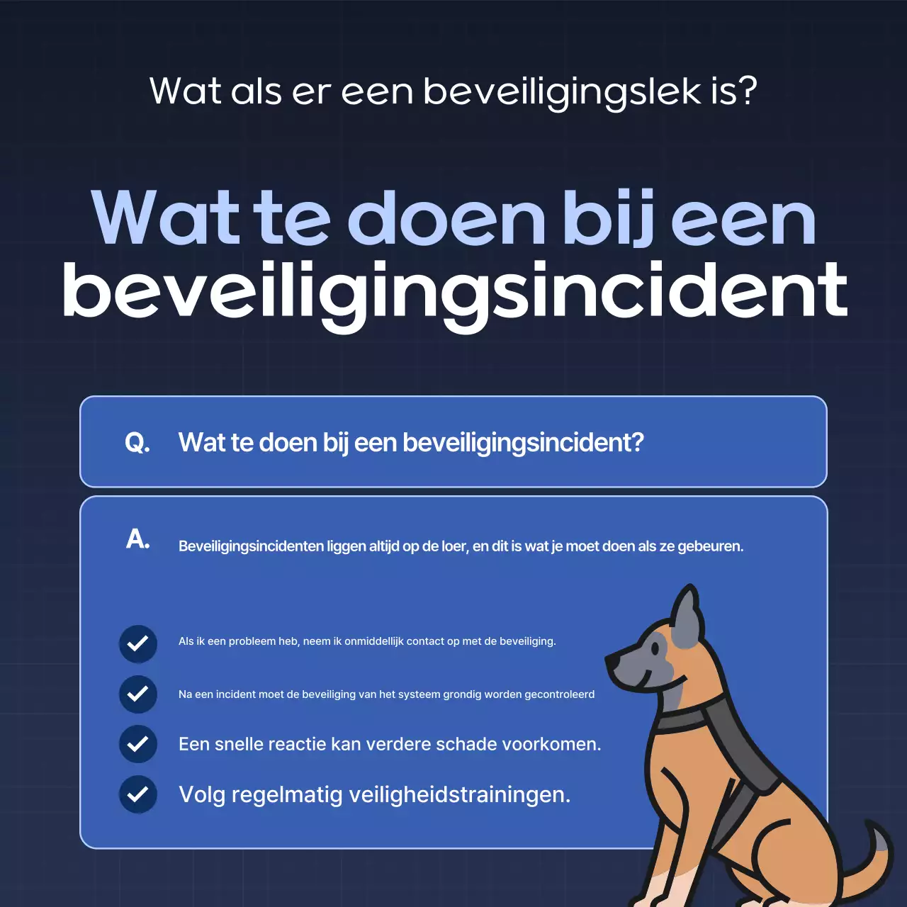 Blue Modern Veiligheidstips