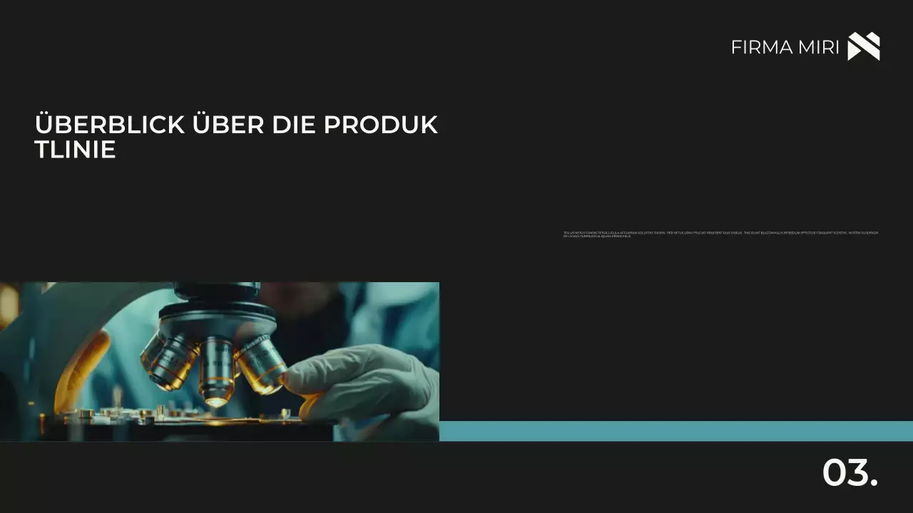 Schwarz Modern E-Commerce Förderung Präsentation