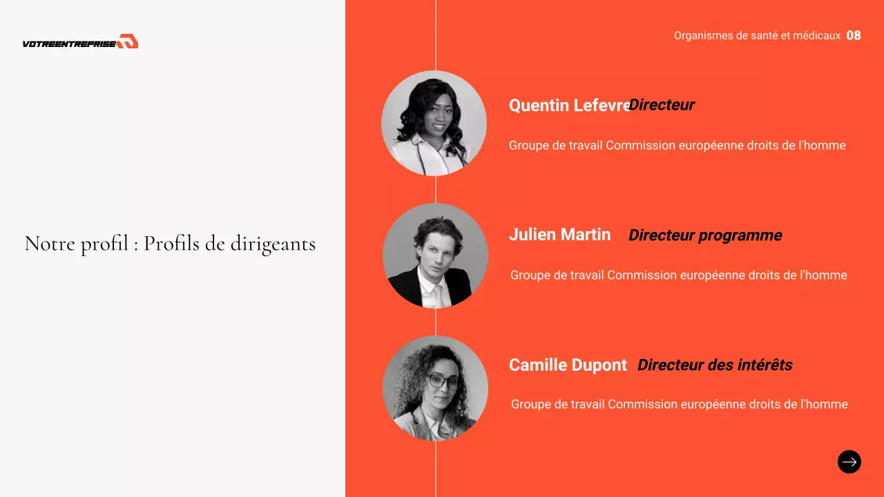 présentation professionnelle grise des soins de santé