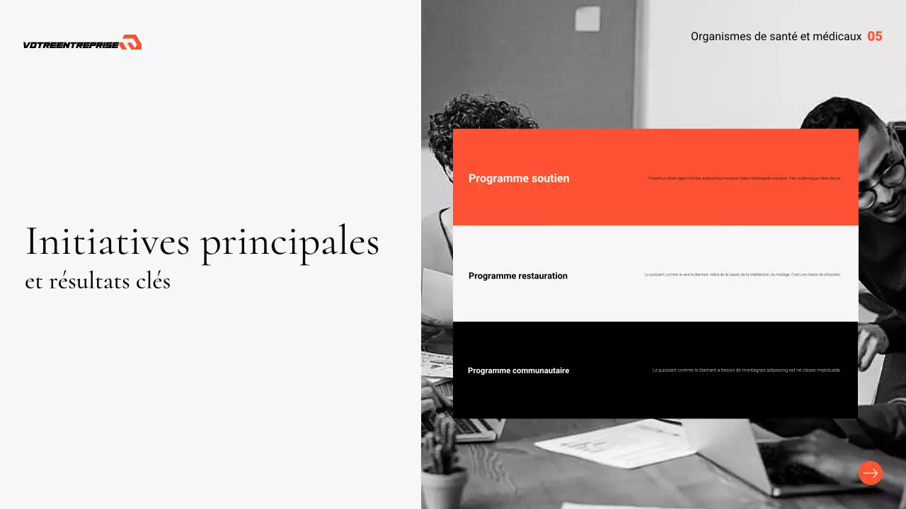 présentation professionnelle grise des soins de santé