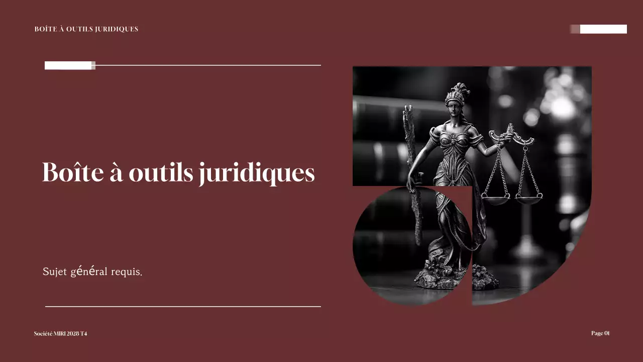 Présentation de la boîte à outils de conseil juridique de Maroon Professional