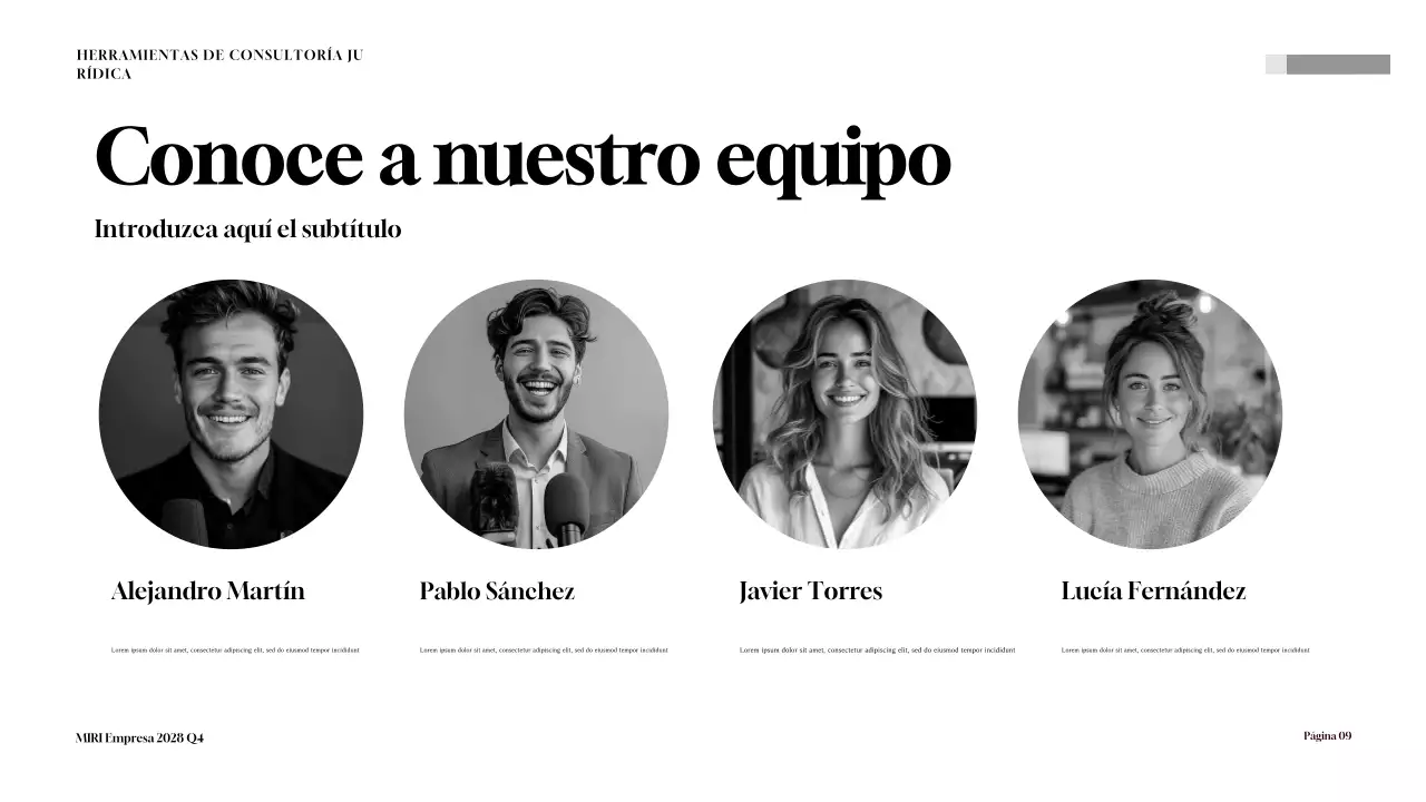 Maroon Professional Legal Consulting Toolkit Presentación