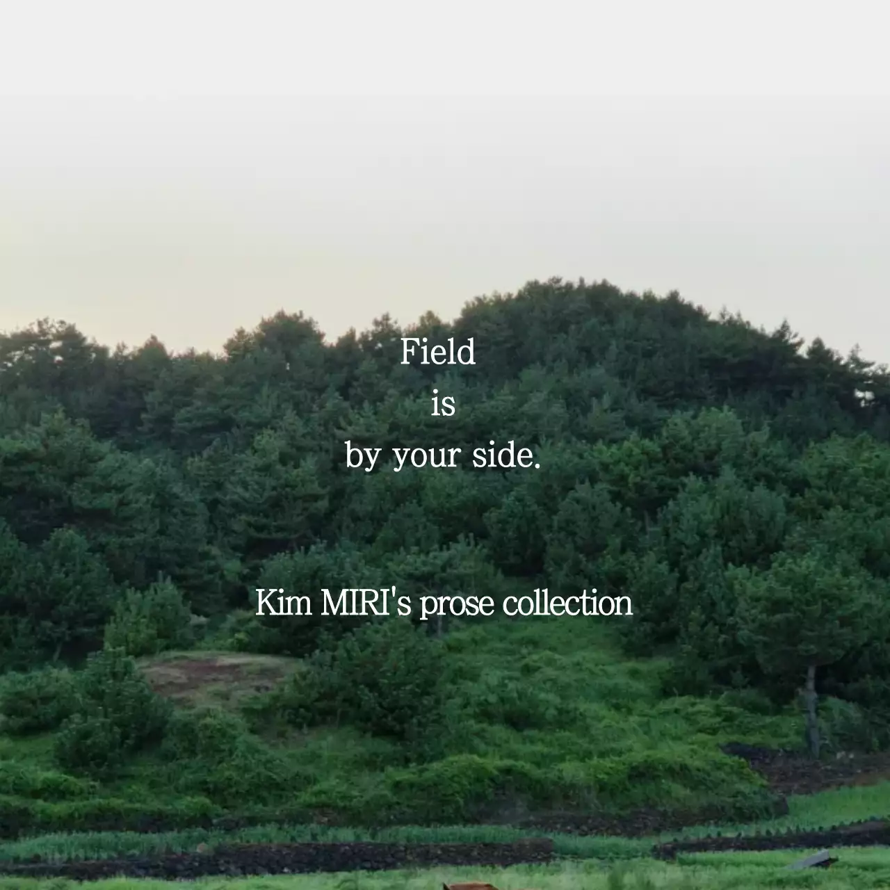 Klub Sastra Alam dan Lingkungan Hijau