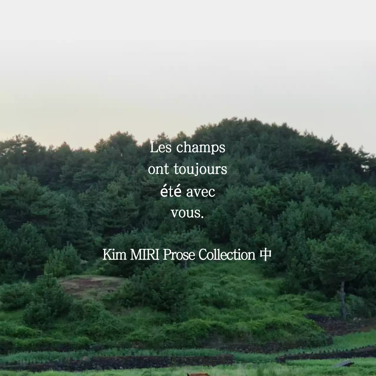 Club de littérature verte et environnementale