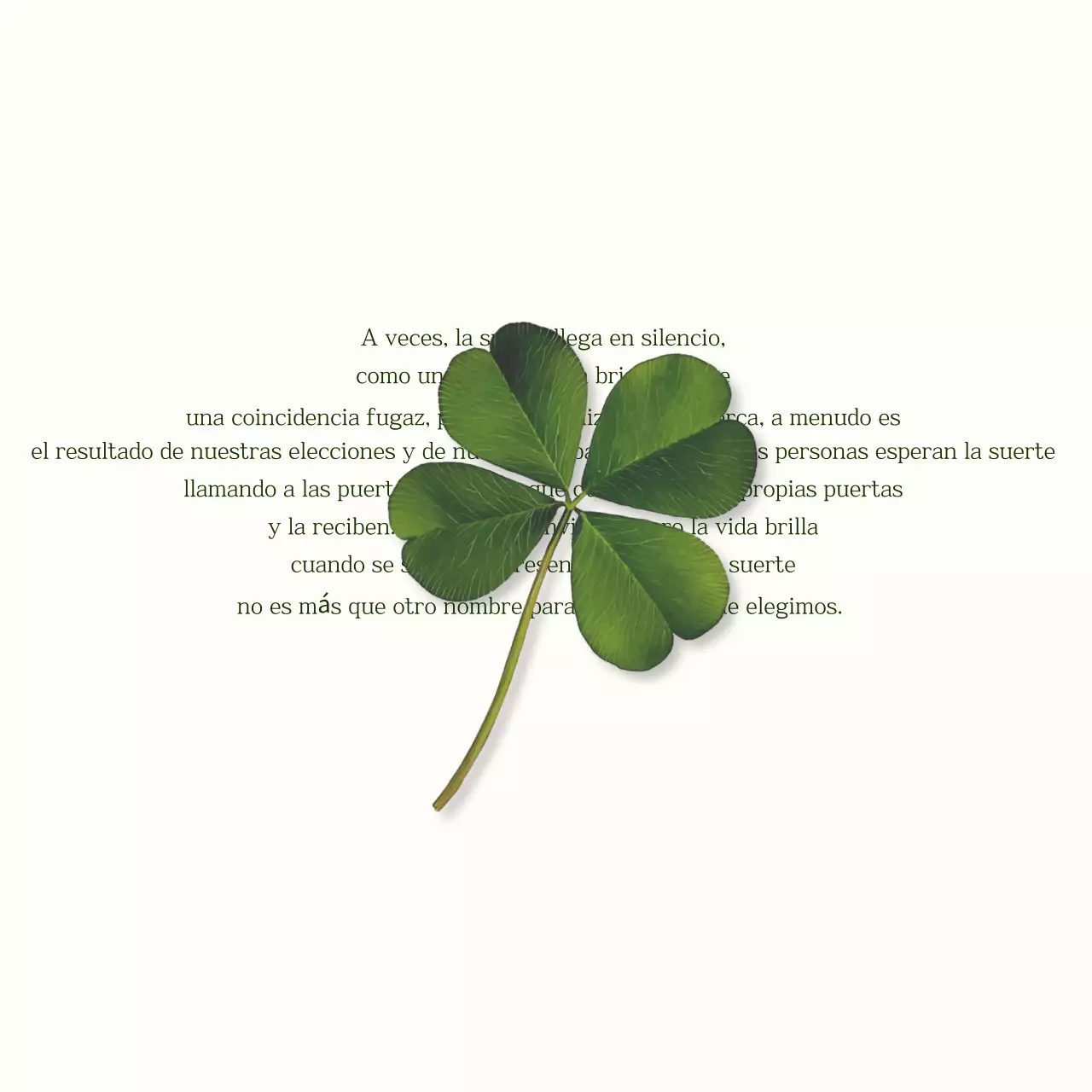 Ivory Palabras sencillas y felices