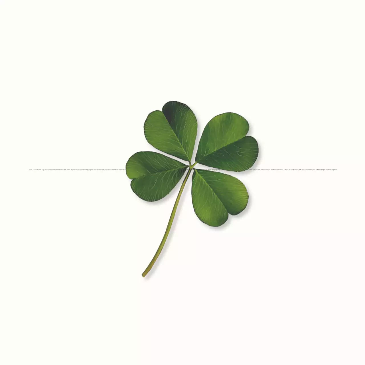 Ivory Palabras sencillas y felices